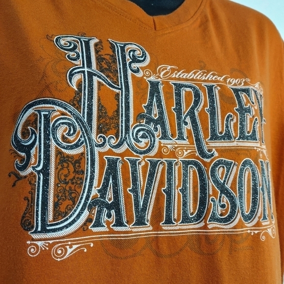Harley-Davidson Women's Orange V-Neck T-shirt Size L - Picture 6 of 9